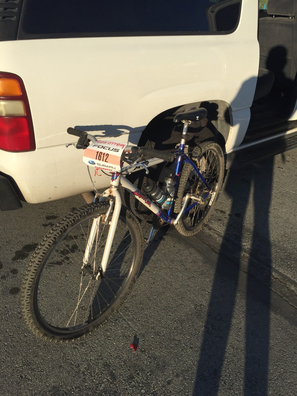 Race Ready Baraccuda